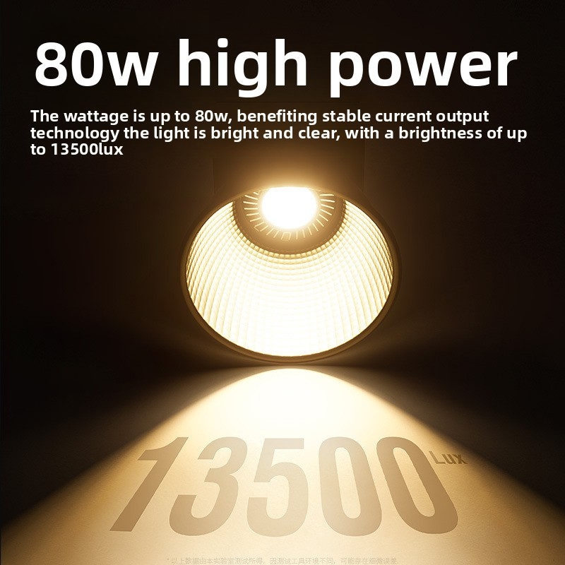 ZU80 80w Handheld Exterior Lam - Photography Lighting Meter recensie en prijs