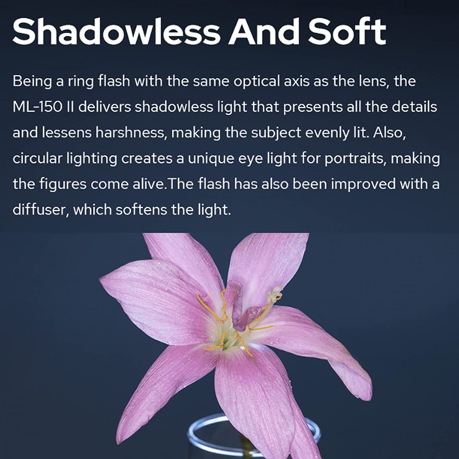【KR&MX】Godox ML150 II Macro Ri - Macro Photography Lighting Kit recensie en prijs