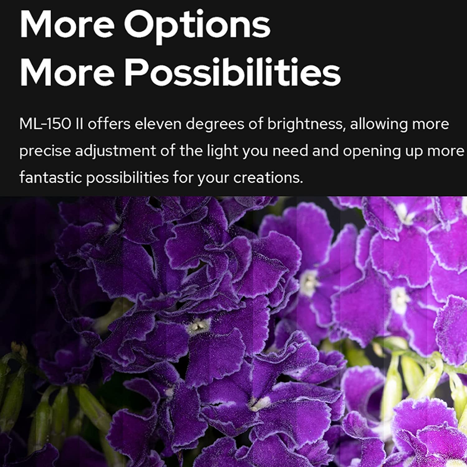 【KR&MX】Godox ML150 II Macro Ri - Macro Photography Lighting Kit recensie en prijs