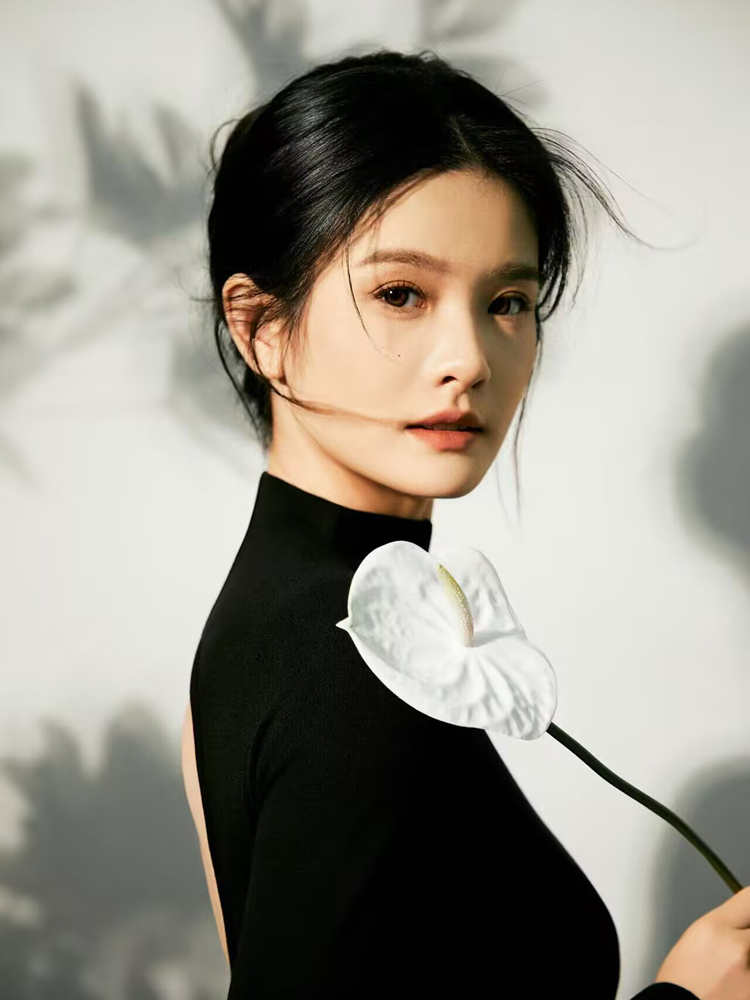 New Simple Chinese Style High- - Portrait Photography With Lighting recensie en prijs